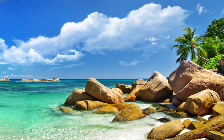 Küstenlandschaft der Seychellen © leoks  / Shutterstock.com