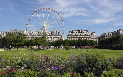 Riesenrad im Jardin de Tuileries © velirina / Shutterstock.com
