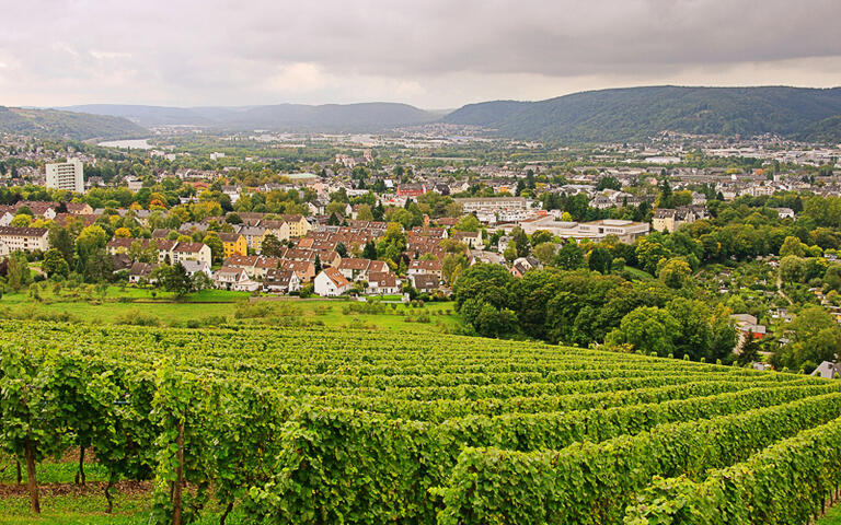 Weinberge von Trier © LianeM / shutterstock.com