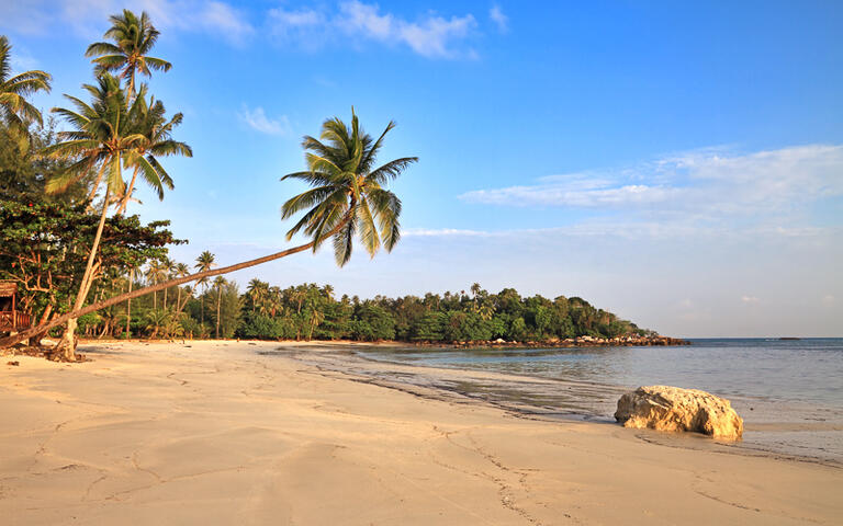 Tropischer Sandstrand auf Bintan © irakite / shutterstock.com