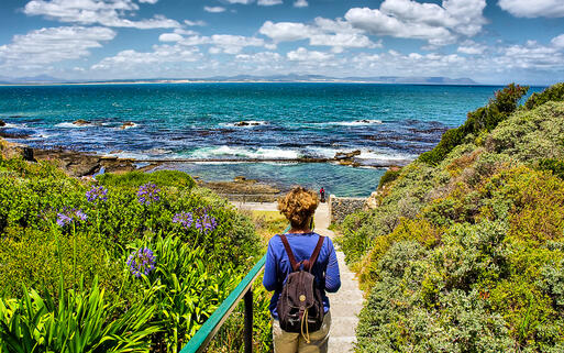 Wunderschöner Weg zur Küste von Hermanus, Westkap Südafrika © PhotoSky / Shutterstock.com