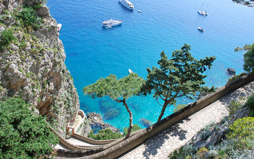 Steil empor ragt die Felsküste Capris © Natalia Barsukova / shutterstock.com