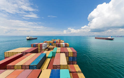 Frachtschiffe im Hafen von Singapur © donvictorio@o2.pl  / Shutterstock.com