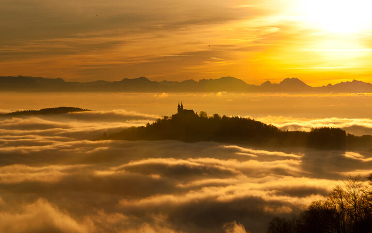 Der Pöstlingberg bei Linz überragt das herbstliche Nebelmeer © Michaela Kastner