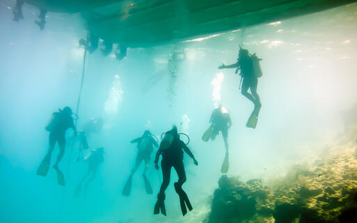 Das Great Blue Hole im Belize Barrier Reff - eines der beliebtesten Tauchgebiete der Region © QArts / shutterstock.com