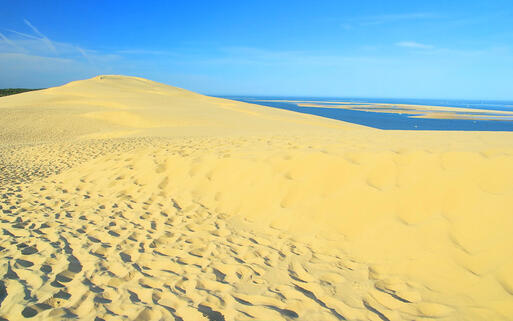Dune du Pyla, die größte Wanderdüne Europas © LianeM / Shutterstock.com