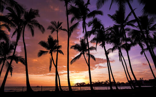 Romantischer Sonnenuntergang am Strand von Kailua-Kona, Big Island, Hawaii © kuma / Shutterstock.com