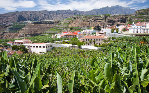 Bananenplantage in Tazacorte auf der Insel La Palma, Kanaren © T.W. van Urk / shutterstock.com