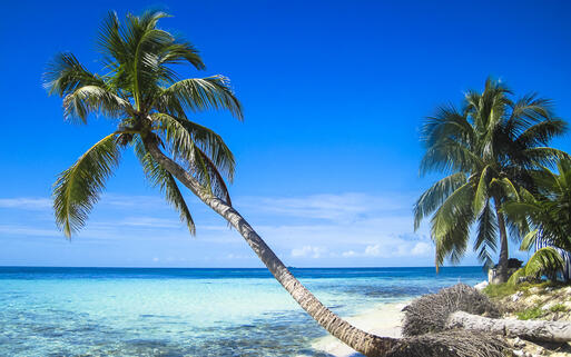 Strand bei den Queen Cays in Belize © bcampbell65 / shutterstock.com