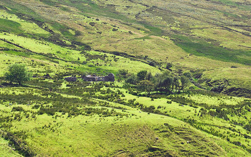 Ruinen eines alten Cottages im Sperrin Gebirge © Jane McIlroy / Shutterstock.com