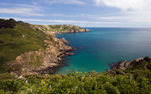 Klippen in Guernsey © Jo Chambers / Shutterstock.com