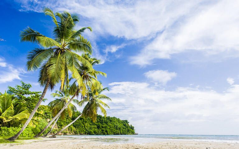 La Sagesse Bay © PHB.cz (Richard Semik) / Shutterstock.com