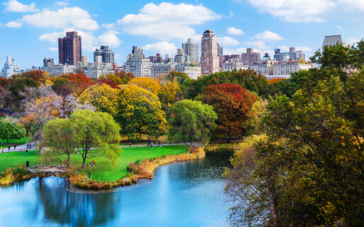 Buntes Farbenspiel der Bäume im Central Park im Herbst, New York, USA © / Shutterstock.com