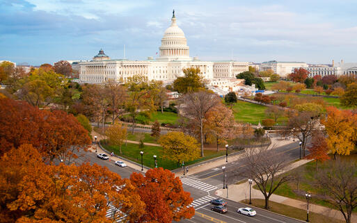Das Kapitol zur Herbstzeit, Washington D.C. © Rena Schild / Shutterstock.com