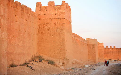 Die Stadtmauern von Taroudant, Marokko © Vladimir Melnik / Shutterstock.com