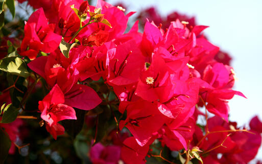 views of Zakynthos, Greece. © Agata Dorobek / shutterstock.com