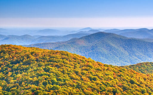 Blick vom höchsten Punkt Georgias aus - dem Brasstown Bald © Durden Images / shutterstock.com