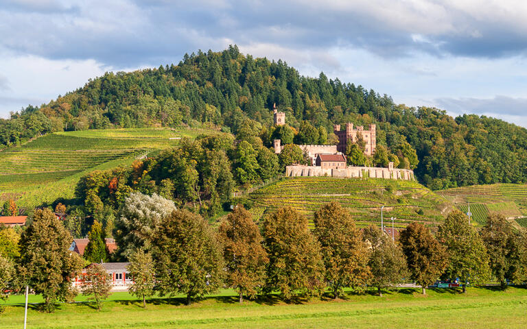 Blick auf das Ortenberg Schloss im Schwarzwald, Deutschland © Leonid Andronov / shutterstock.com