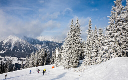 Winterlandschaft in Schladming, Steiermark, Österreich © nikolpetr / shutterstock.com