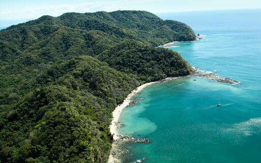 Dschungel-Berge hinter dem  feinsandigen Strand Ballena Bay in Costa Rica © Tami Freed / Shutterstock.com