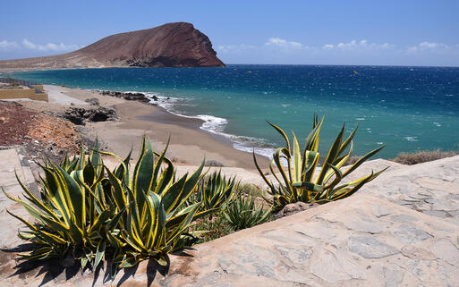 Blick auf den Strand La Tejita auf Teneriffa © Pawel Kazmierczak / Shutterstock.com