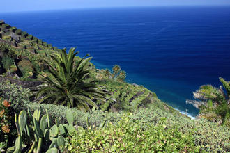 Traumhaft grüne Küstenlandschaft von La Gomera © Anilah / Shutterstock.com