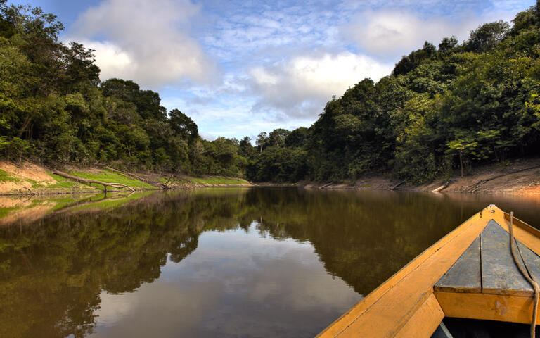 Amazonas © Gleb Aitov / shutterstock.com