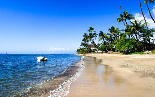 Der Strand in Lahaina, Insel Maui, Hawaii, USA © lidian / Shutterstock.com