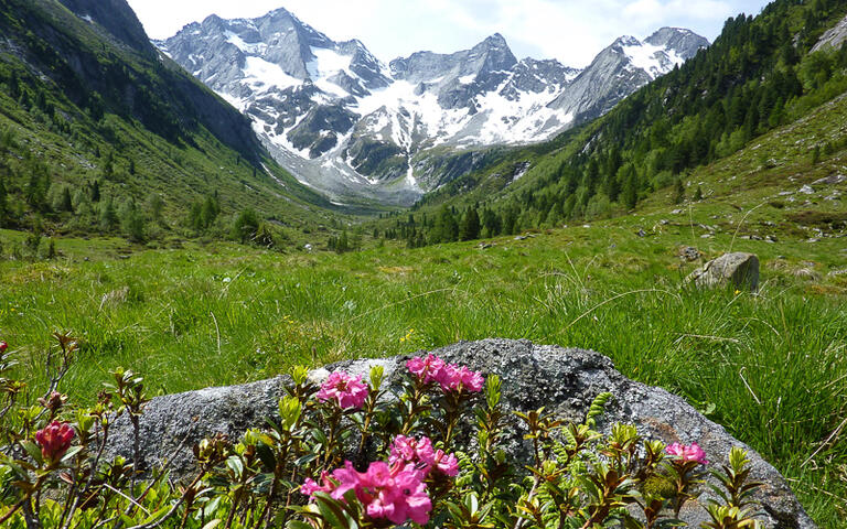 Zillertal © by Paul / shutterstock.com