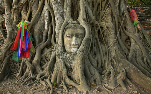 Der Buddha-Kopf des Wat Mahathat im Geschichtspark Ayutthaya © think4photop / shutterstock.com