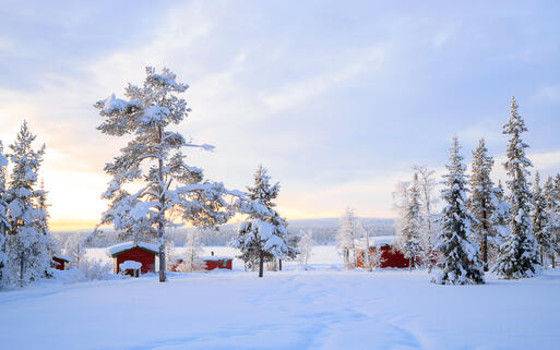 Winterlandschaft in Lappland © vichie81 / Shutterstock.com