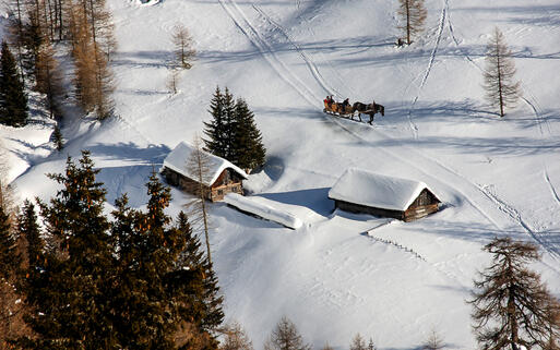 Pferdeschlitten in der verscheiten Winterlandschaft, Kärnten, Österreich © Samot / shutterstock.com