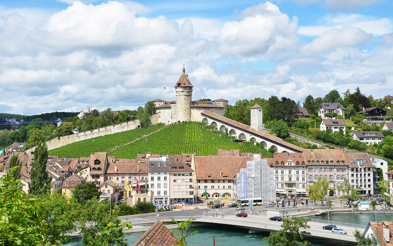 Schaffhausen © Alexander Chaikin / Shutterstock.com