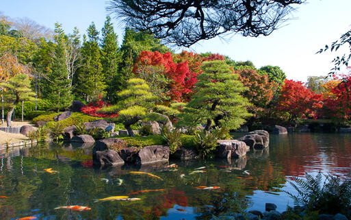 Der farbenfrohe Koko-En Park im Herbst, Osaka, Japan © John Kasawa / Shutterstock.com