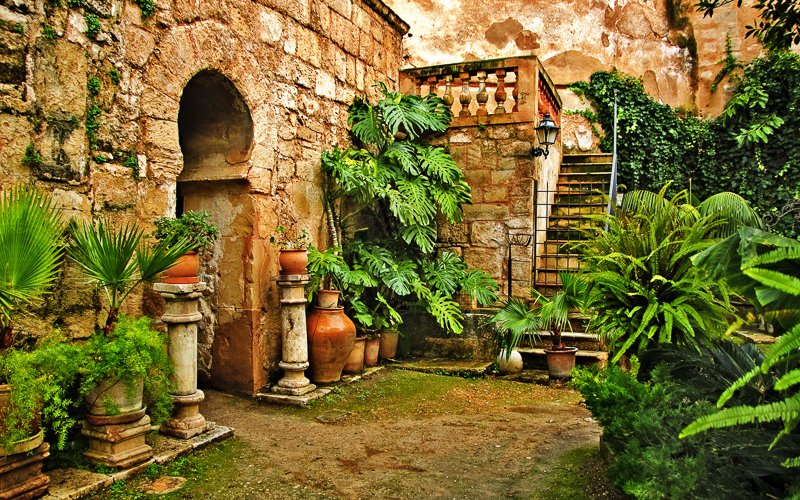 Image 10