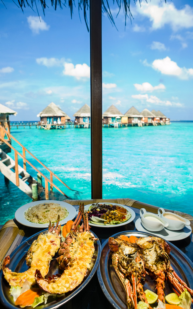 Hummer Dinner mit Blick auf das Meer Hummer Dinner mit Blick auf das Meer © KKulikov / Shutterstock.com