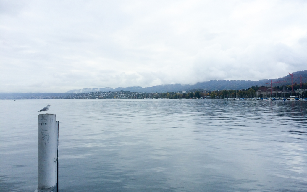 Zürichsee Zürichsee © Roman Vaibar