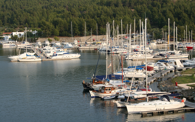 Image 12