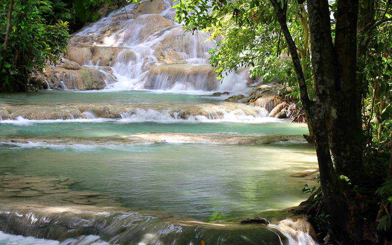 Image 10